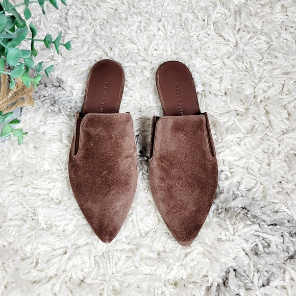Jenni Kayne Shoes - Jenni Kayne espresso suede pointed toe mules NWOB